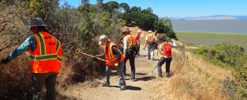 Friends Of China Camp State Park - Trail Maintenance Team