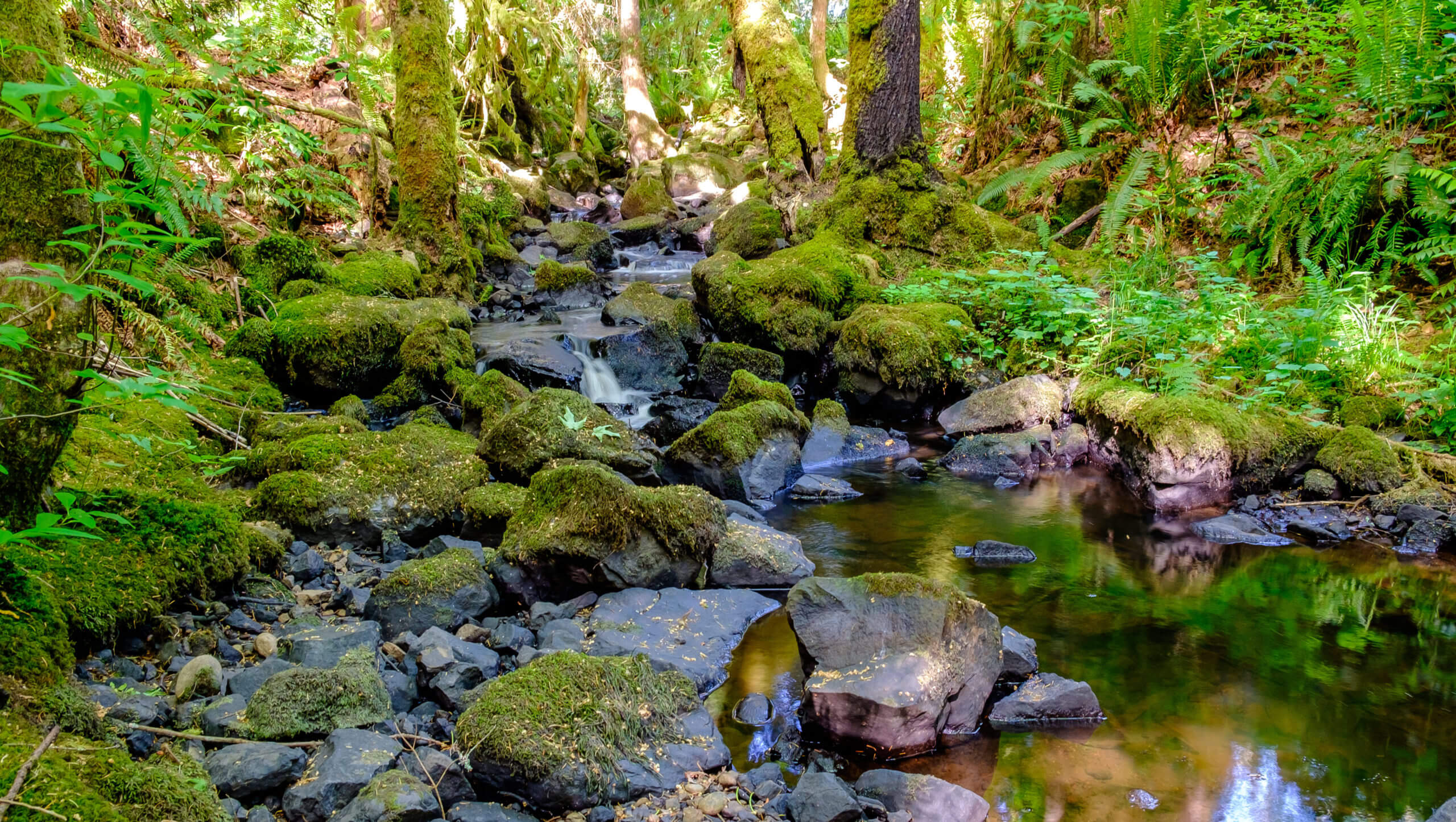 Creek. Ручей Маклейн-крик Олимпия. Creek Kathu. Shebeon Creek. Fishmans Creek.