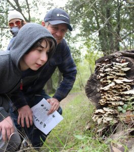 Family enjoys a guided mushroom walk at China Camp State Park by Harriot Manley