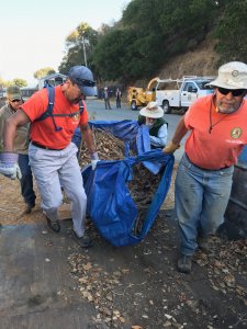 Volunteers haul flammable debris by Joyce Abrams