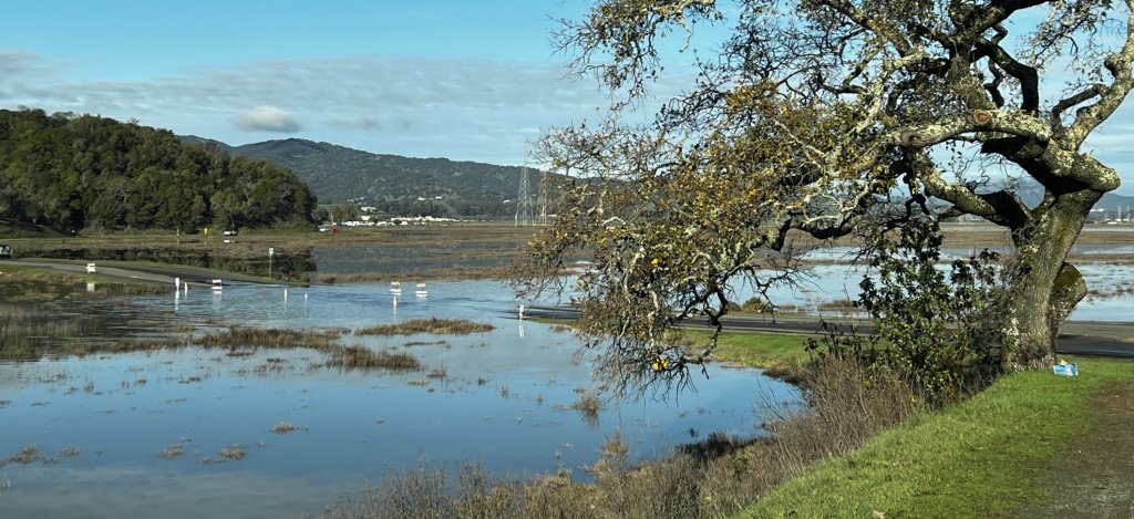 King tide at China Camp State Park by Harriot Manley